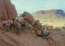 camels