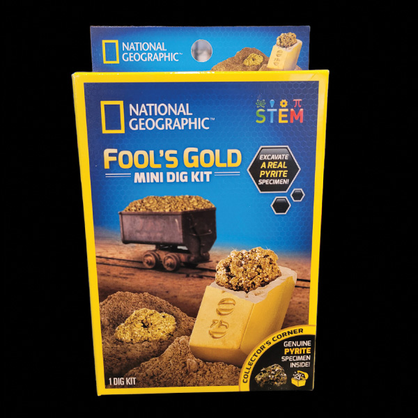 Gold Fossil Dig Kit